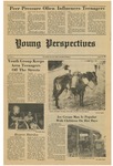 Young Perspectives, vol. 2, no. 1, August 30, 1985 by Suffolk University