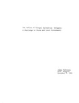 The influx of illegal Salvadoran refugees: a challenge to the state and local governments, by James McGovern by James P. McGovern